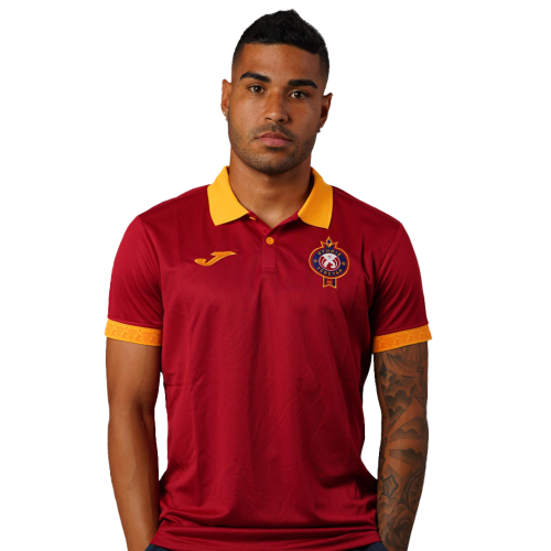 Футболка поло